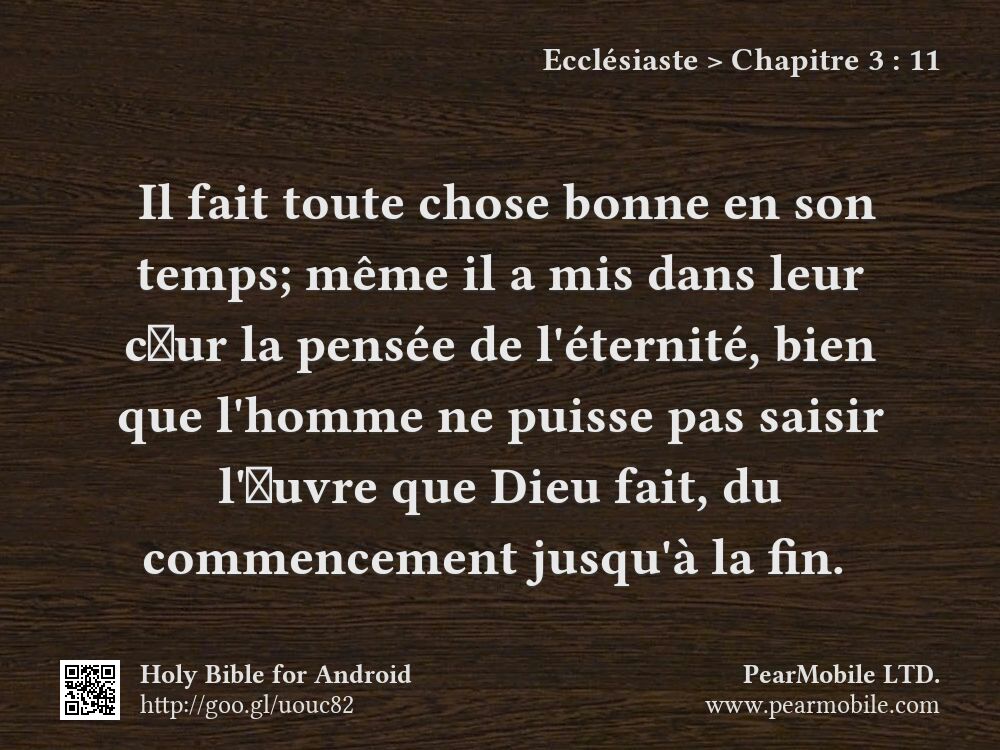 Ecclésiaste, Chapitre 3:11